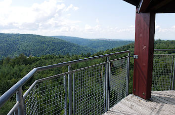 Blick vom Aussichtsturm Hohe Warte Schwarzwald