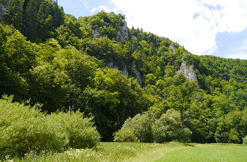 Knopfmacherfelsen an der Donau