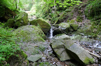 Wilde Lotenbachklamm an der Wutachschlucht