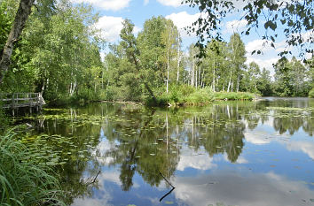 Moorsee Pfrunger-Burgweiler Ried