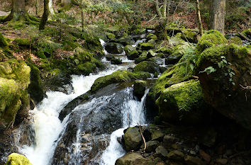 Ravennabach Ravennaschlucht Schwarzwald