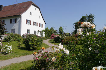 Rosen-Duft-Garten Kirchplatz Nöggenschwiel