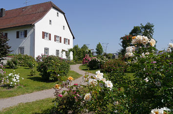 Rosendorf Nöggenschwiel