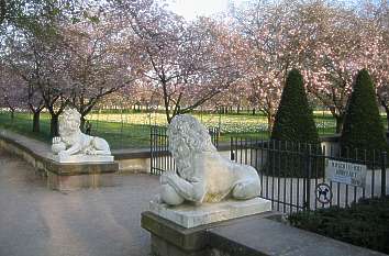 Türkischer Garten Schloss Schwetzingen