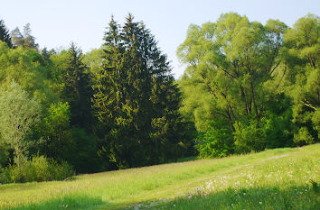 Natur im Siebenmühlental