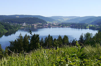 Blick auf den Titisee im Schwarzwald