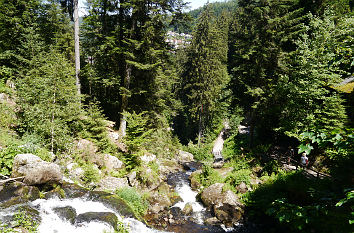 Blick vom Wasserfall Triberg ins Tal