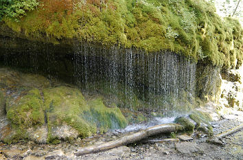 Quelle am Wanderweg Wutachschlucht