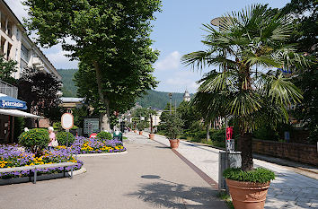 Kuranlagenallee Bad Wildbad