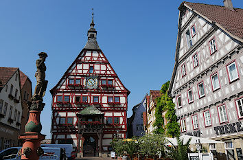 Rathaus und Marktbrunnen Jörgle in Besigheim