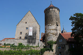 Steinhaus und Schochenturm Besigheim