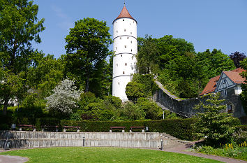 Weißer Turm in Biberach an der Riß