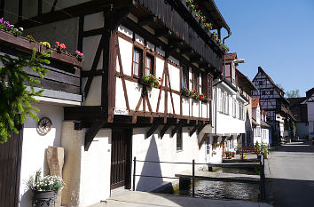 Aachgasse mit Blau in Blaubeuren