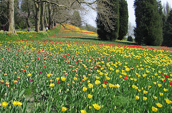 Insel Mainau im Bodensee