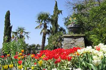 Blumeninsel Mainau