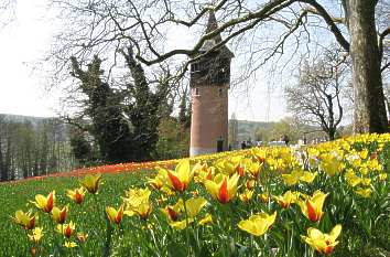 Schwedenturm Insel Mainau