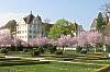 Schloss Salem am Bodensee