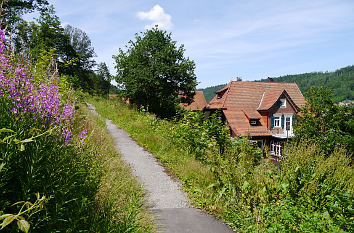 Oberhalb der Altstadt von Calw