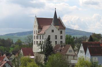 Krenkinger Schloss in Engen