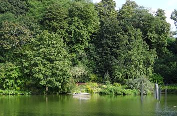 Schwanensee Zoologischer Stadtgarten Karlsruhe