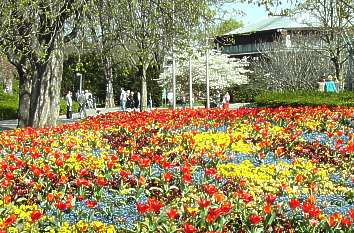 Frühling im Luisenpark Mannheim