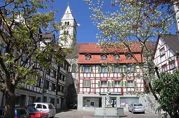 Winzergasse mit Schnabelgierebrunnen in Meersburg