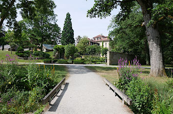 Hofgarten in Öhringen