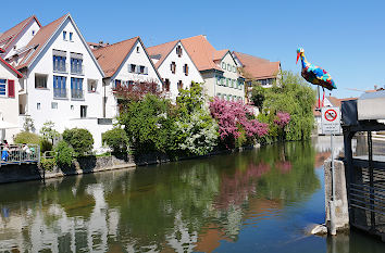 Donauviertel in Riedlingen