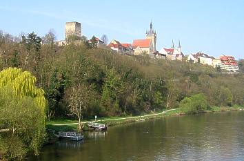 Neckar und Altstadt Bad Wimpfen