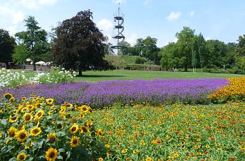 Höhenpark Killesberg mit Aussichtsturm