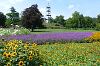 Höhenpark Killesberg in Stuttgart