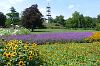 Höhenpark Killesberg in Stuttgart