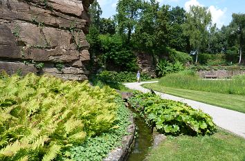 Tal der Rosen im Höhenpark Killesberg