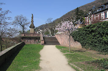 Parkanlage Leinpfad am Neckar in Heidelberg