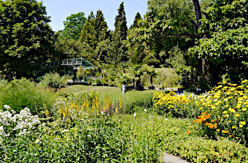 Staudengarten Botanischer Garten Tübingen