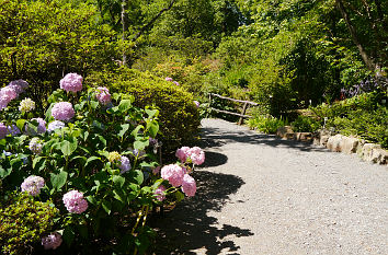 Botanischer Garten Tübingen