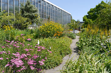 Gewächshaus Botanischer Garten Tübingen