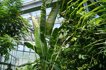 Tropischer Botanischer Garten Tübingen