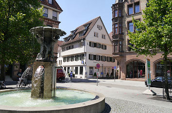 Atlantenbrunnen in Ulm