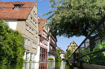 Fischerinsel in Ulm