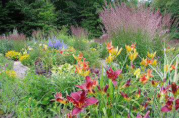 Lilien Botanischer Garten Ulm