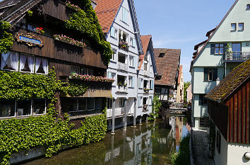 Kleine Blau in Ulm