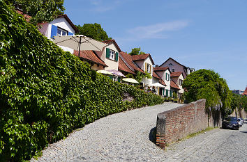 Stadtmauer und Wall in Ulm