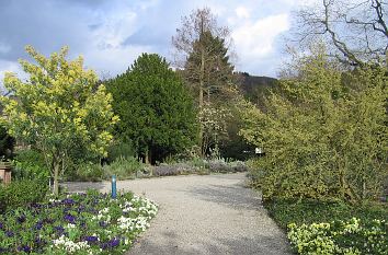 Schaugarten in Weinheim