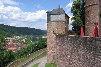 Burg Wertheim mit Blick zum Main