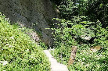 Wanderweg im Eistobel im Allgäu