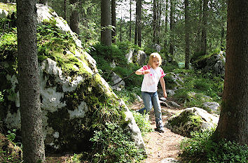 Wanderung durch den Zauberwald