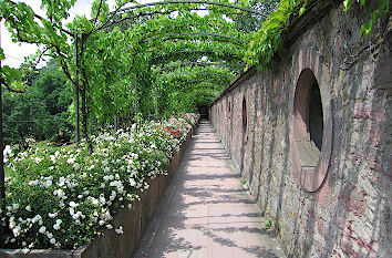 Schlossgarten Aschaffenburg