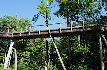 Baumwipfelpfad Steigerwald