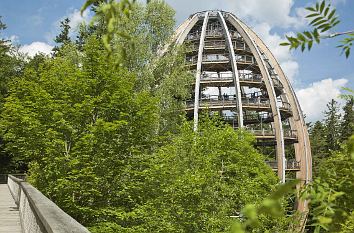 Baumturm Baumwipfelpfad Neuschönau